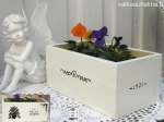 Kukkalaatikko_La_Belle_Jardin_laatikko_nro_2