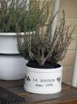 Kanerva_La_Maison_purkissa